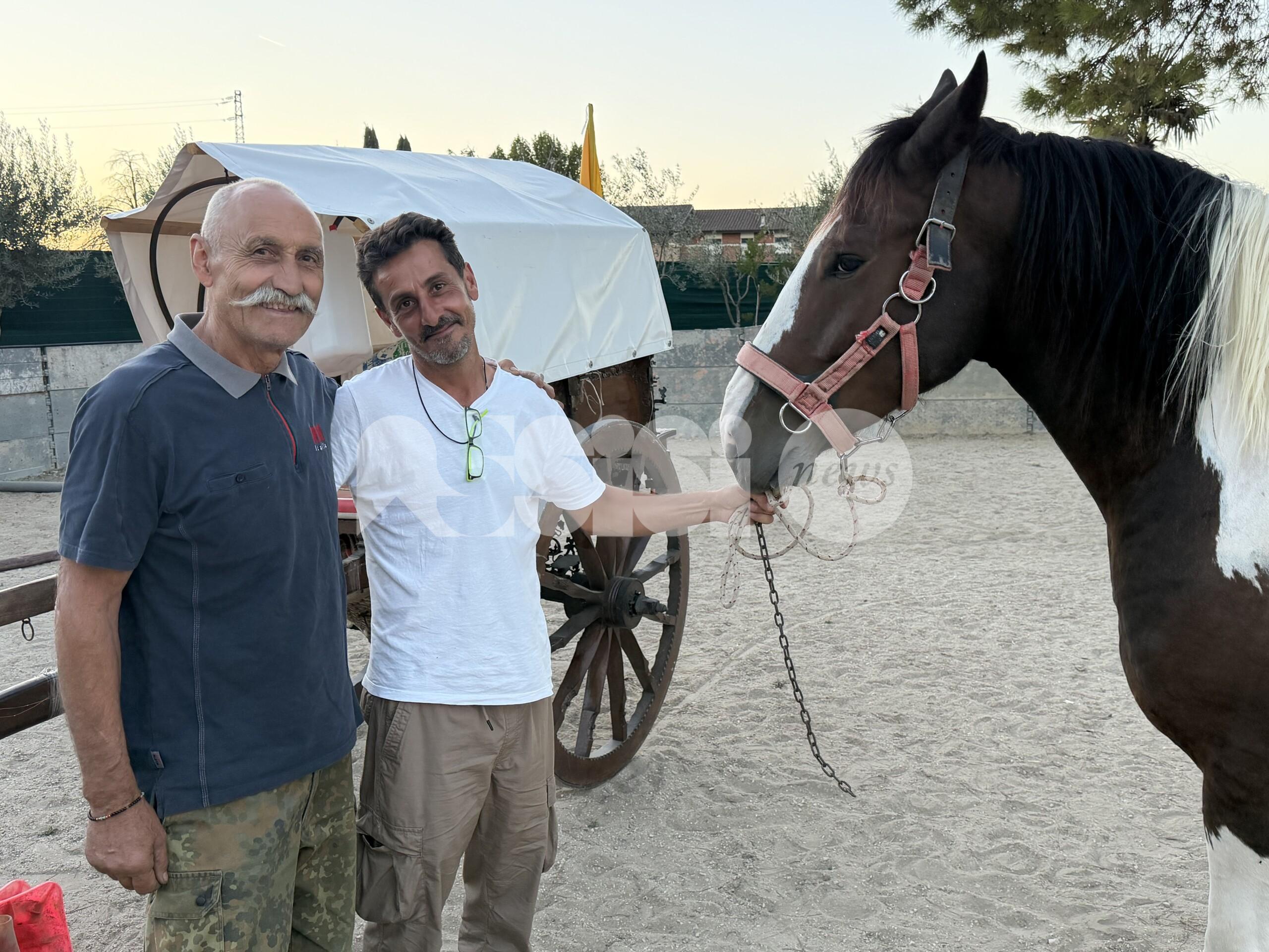 Sulle orme di San Francesco: Antonino Buttitta da Bagheria a Verona con il carretto e il cavallo (foto+video)