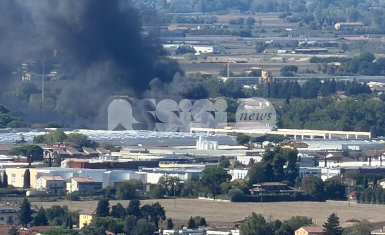 Incendio in un’azienda del bastiolo, colonna di fumo visibile per km. Fiamme domate (foto)