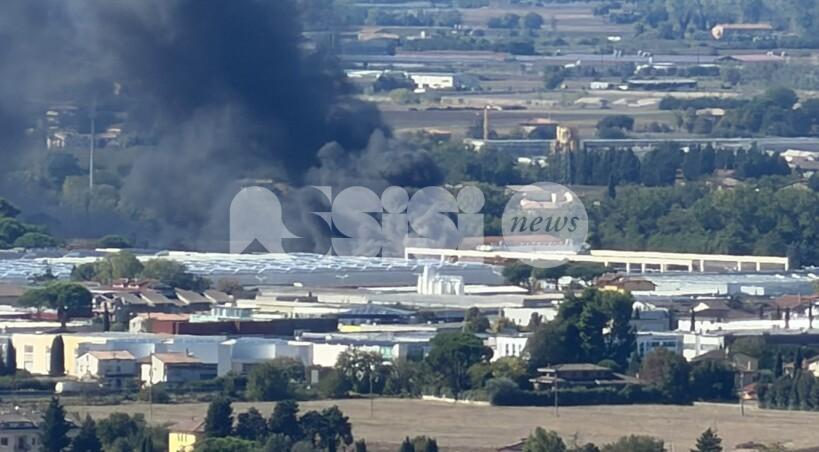 Incendio in un'azienda del bastiolo, colonna di fumo visibile per km. Fiamme domate (foto)