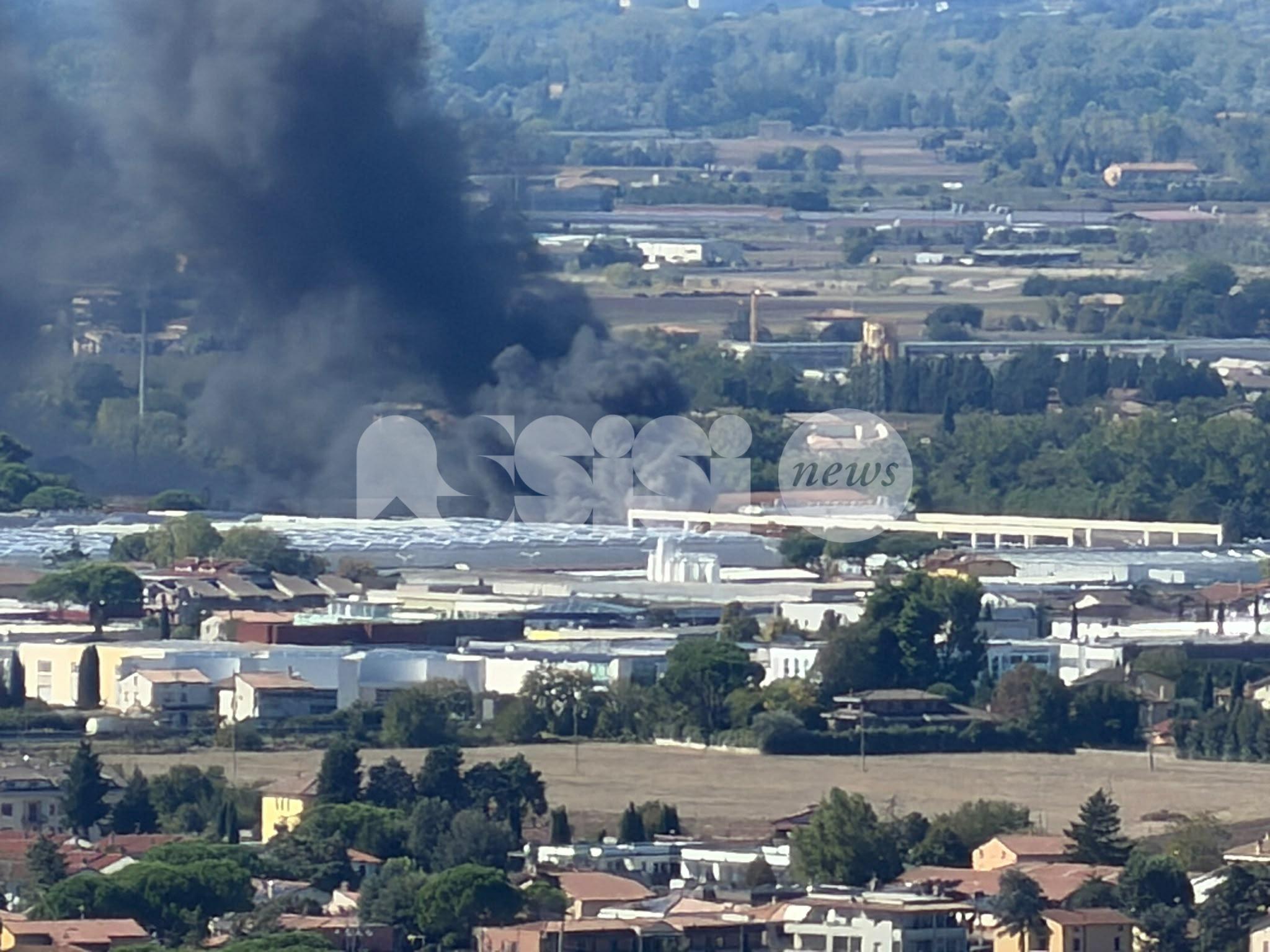 Incendio in un'azienda del bastiolo, colonna di fumo visibile per km. Fiamme domate (foto)