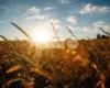 Meteo Assisi 16-18 ottobre 2026: sole e qualche nuvola, è ancora quasi estate