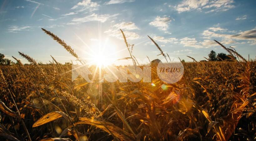Meteo Assisi 16-18 ottobre 2026: sole e qualche nuvola, è ancora quasi estate