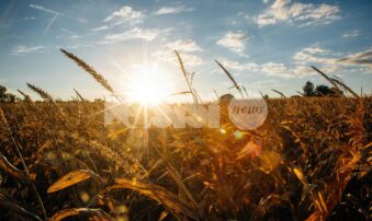 Meteo Assisi 16-18 ottobre 2026: sole e qualche nuvola, è ancora quasi estate